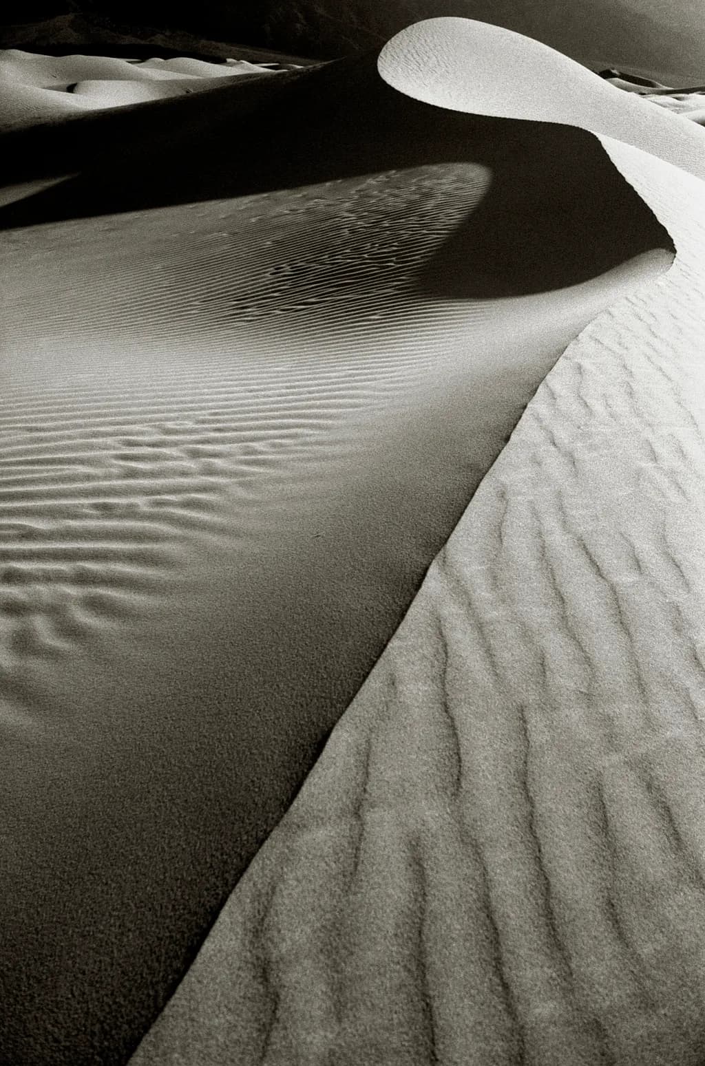 Whispers of the Dunes: A Monochrome Journey Through Sand and Shadow