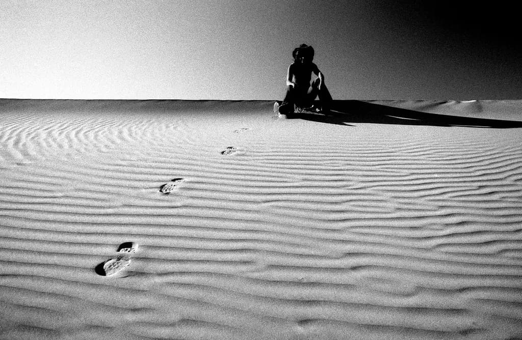 Whispers of Solitude: A Journey Through the Desert Sands