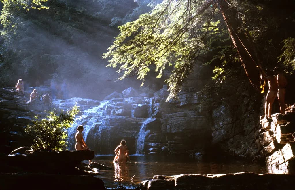Whispers of Serenity: A Tranquil Waterfall Retreat in Nature's Embrace