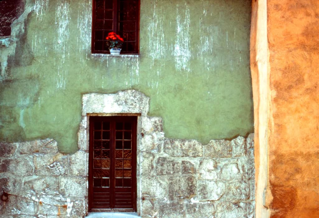 Whispers of Time: A Rustic Doorway Framed by Nature's Touch