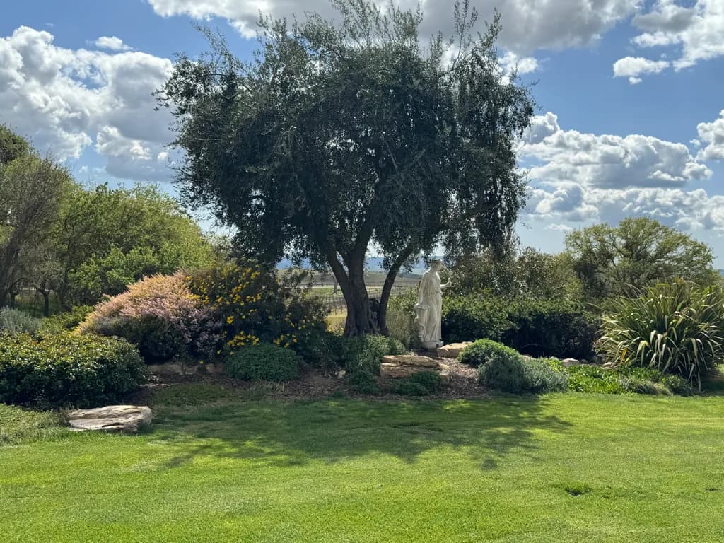 Serenity in the Garden: A Tranquil Landscape with Tree and Statue Under Cloudy Skies