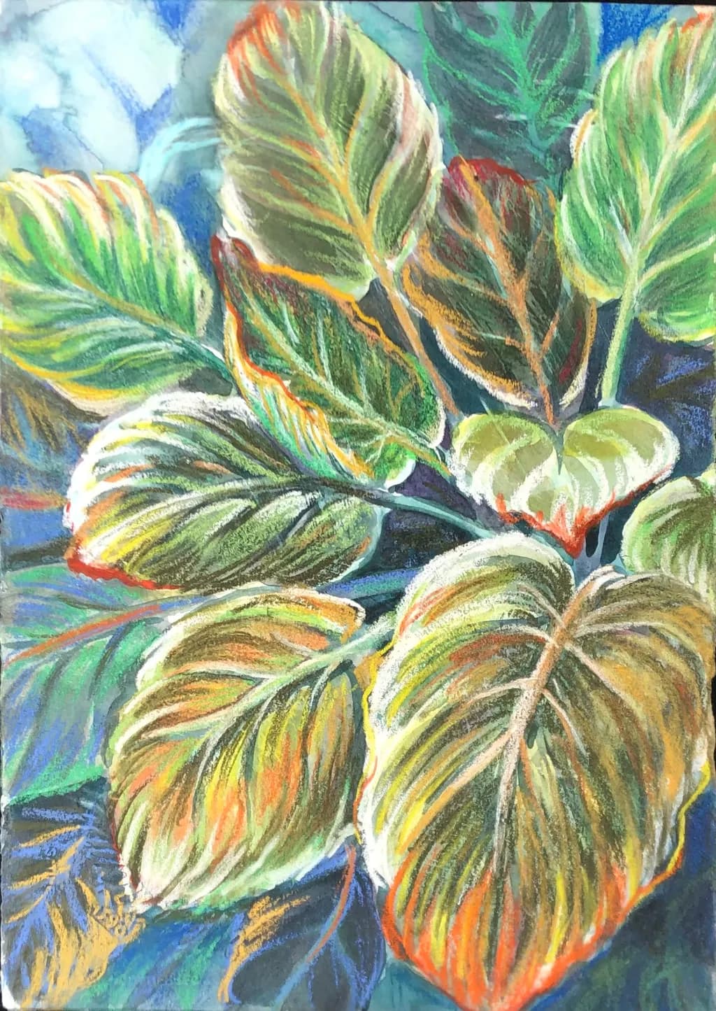 Vibrant Foliage: A Dance of Nature's Colors and Textures