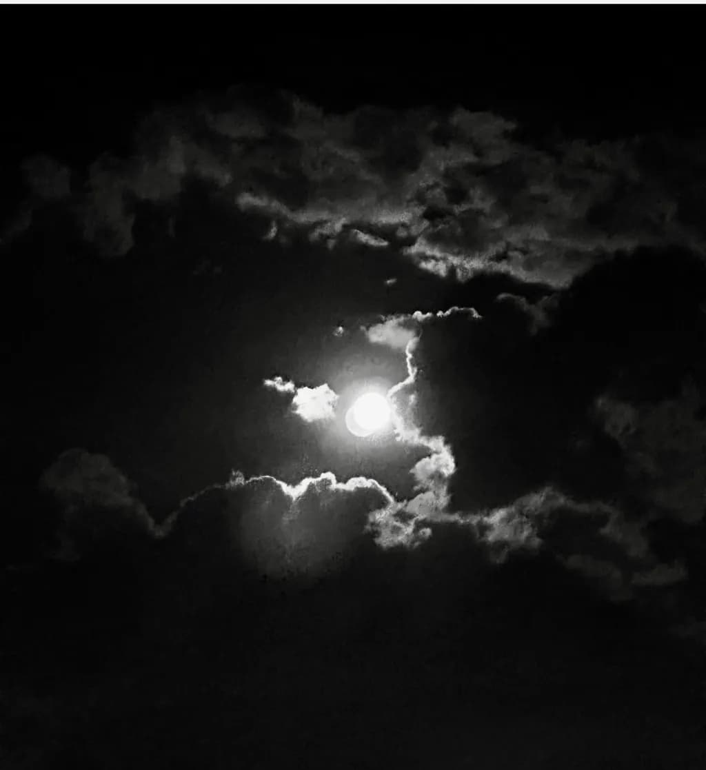 Moonlit Shadows