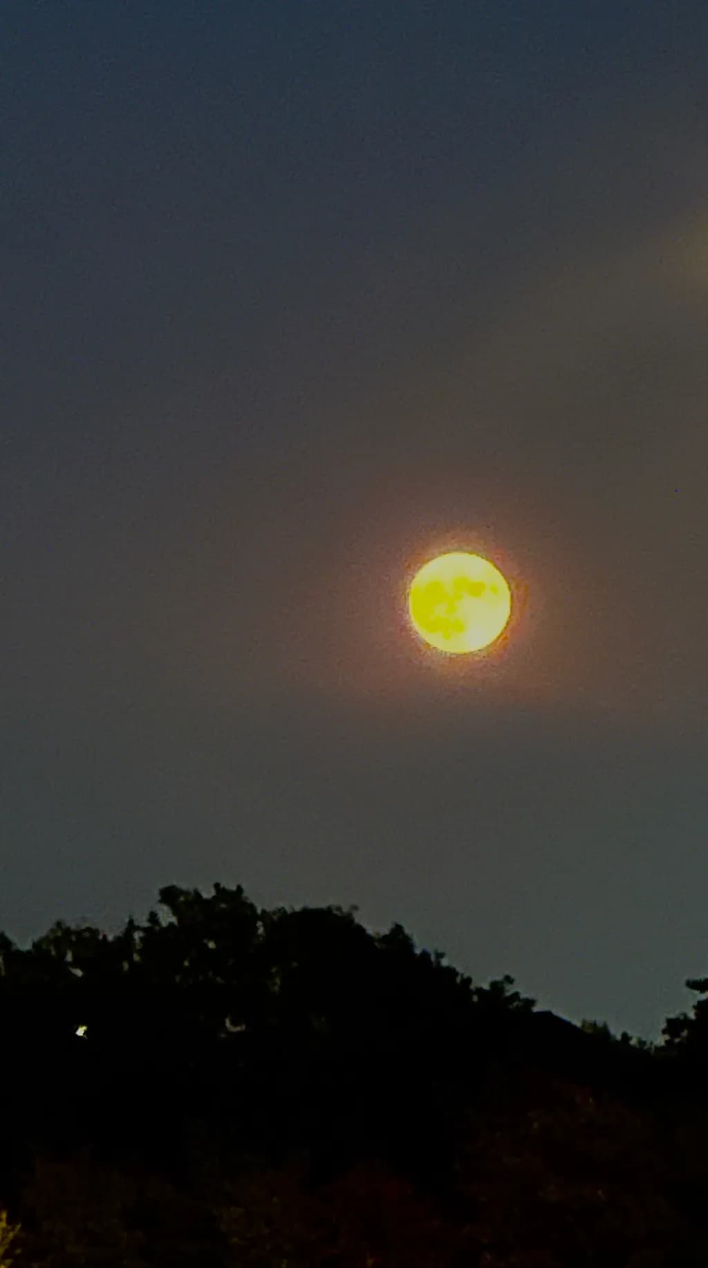 Golden Moonrise