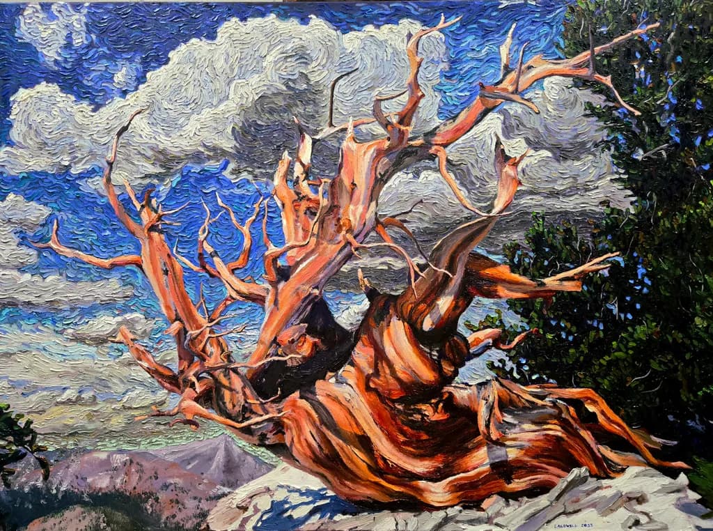 A Bristlecone Before a Storm