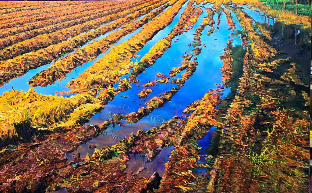 A Saturated Field
