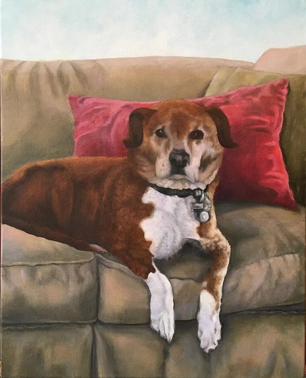 Champ on Couch