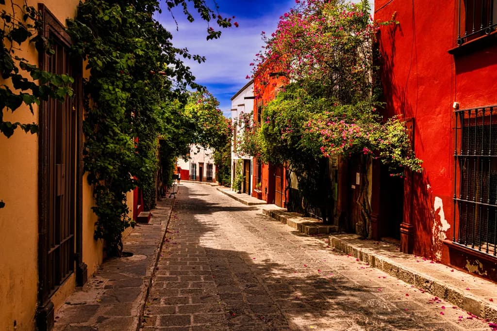 Whispers of Color: A Serene Stroll Through a Sunlit Cobblestone Street