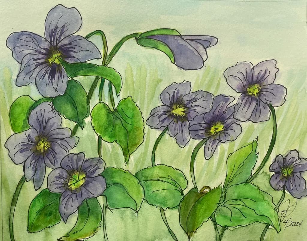 Violet Blooms