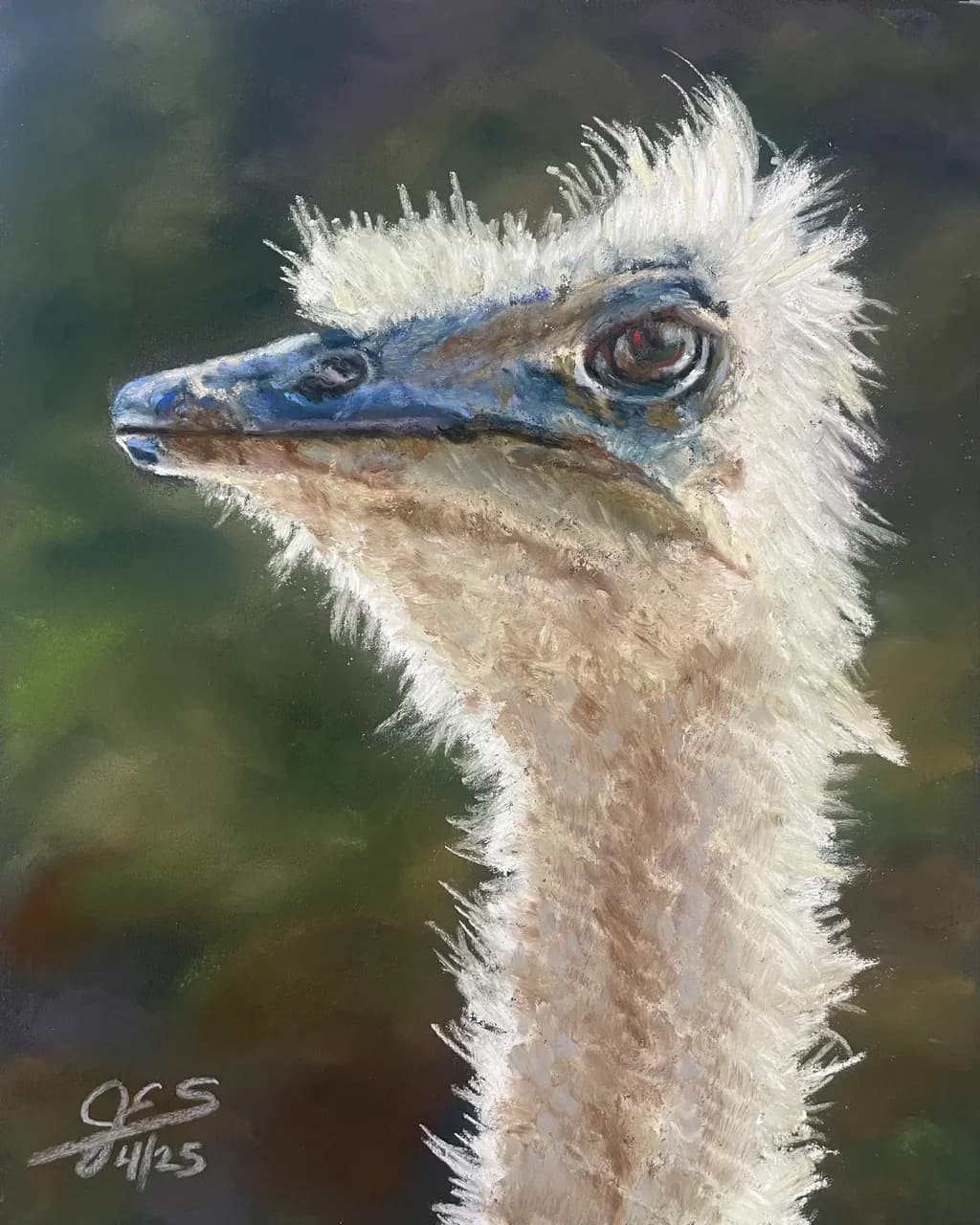 Ostrich Gaze