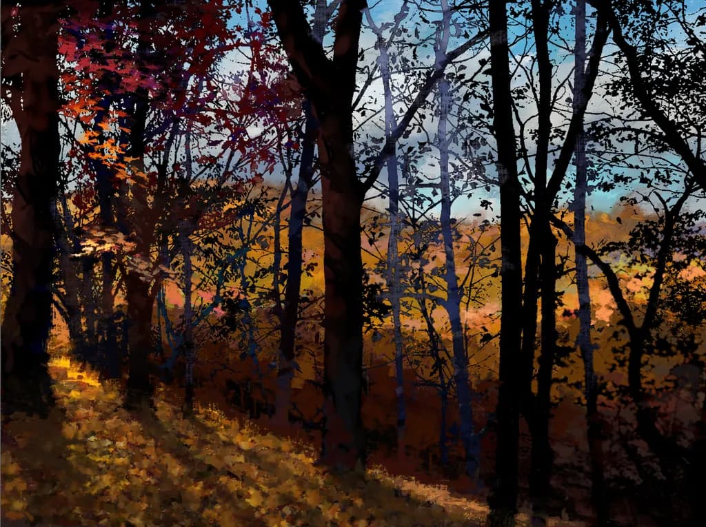 Autumn Forest Shadows