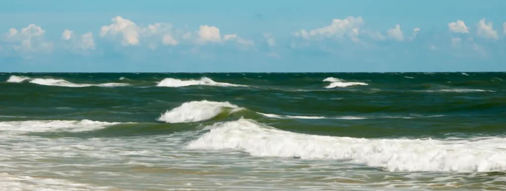 Waves in Motion