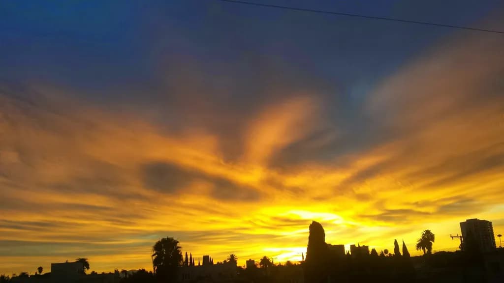 Golden Horizon