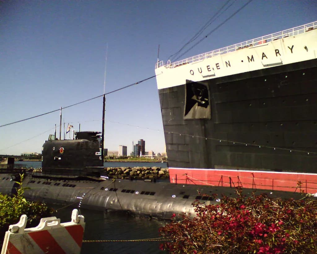 Harbor Giants