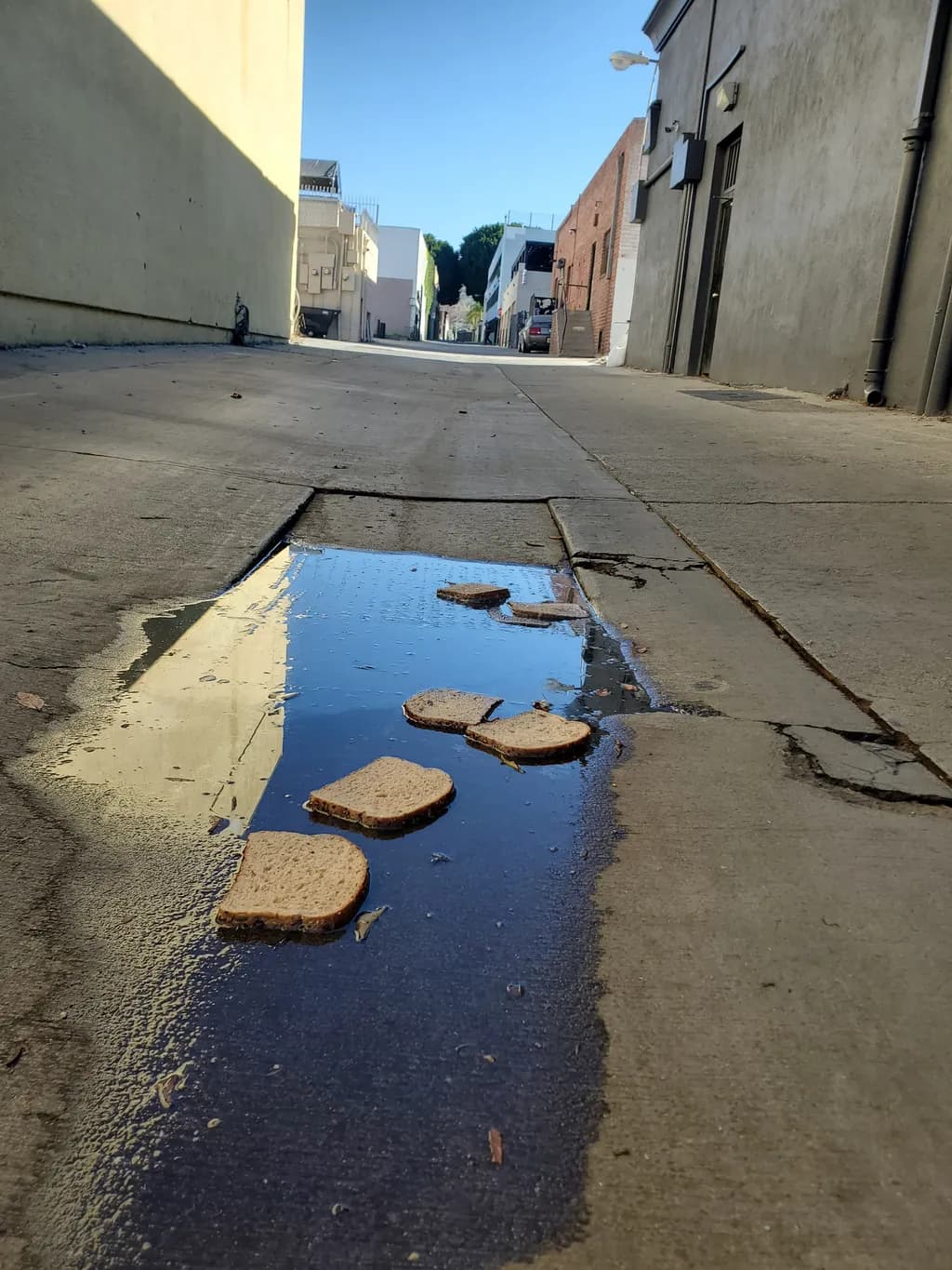 Puddle Path