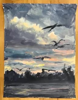 Storm Flight