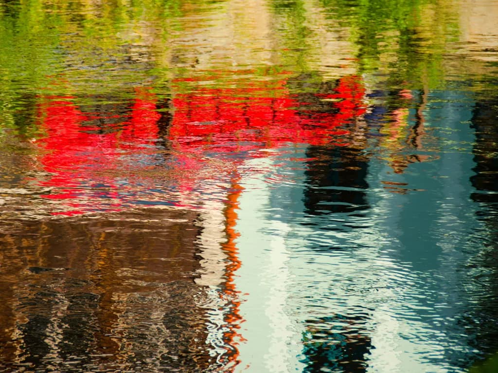 Krumlov Reflection