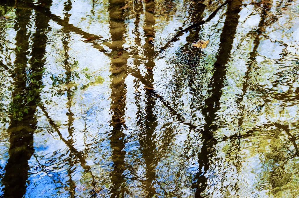 Rockefeller Reflection