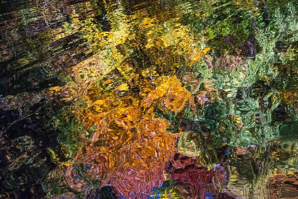 Central Park Reflections