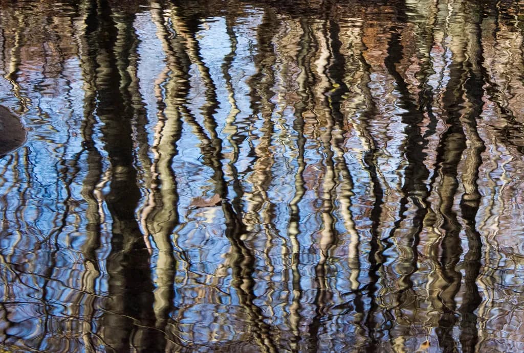 Bear Mountain Reflection