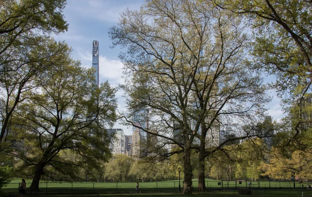 Central Park View