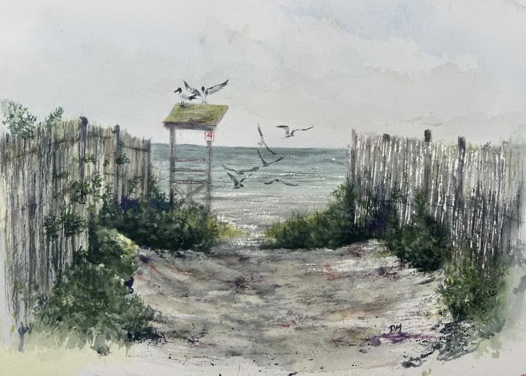 Seagull Beach Path