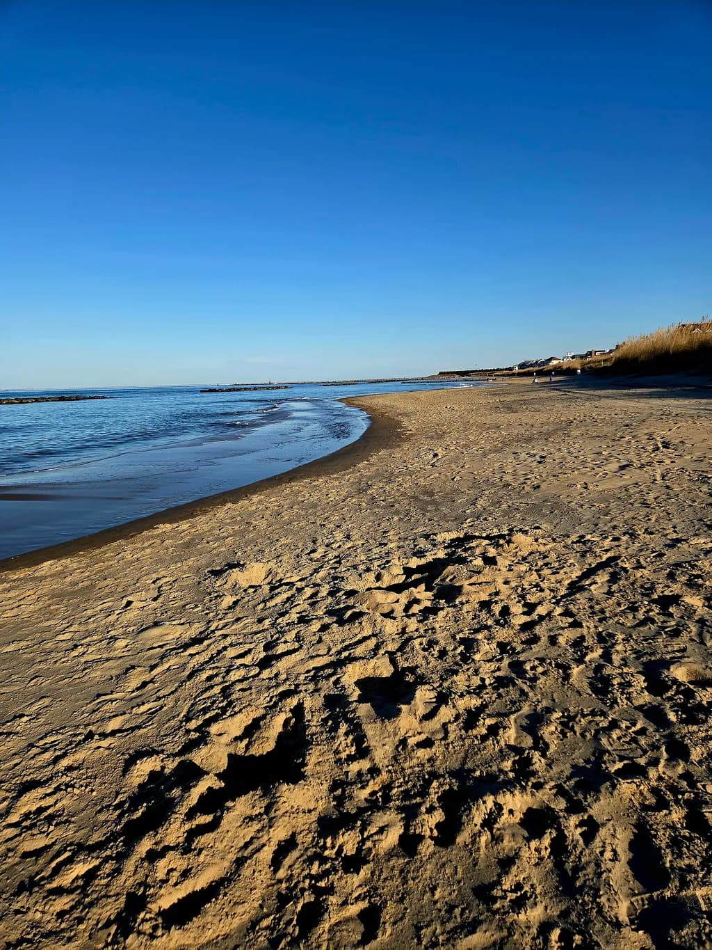 Coastal Tranquility