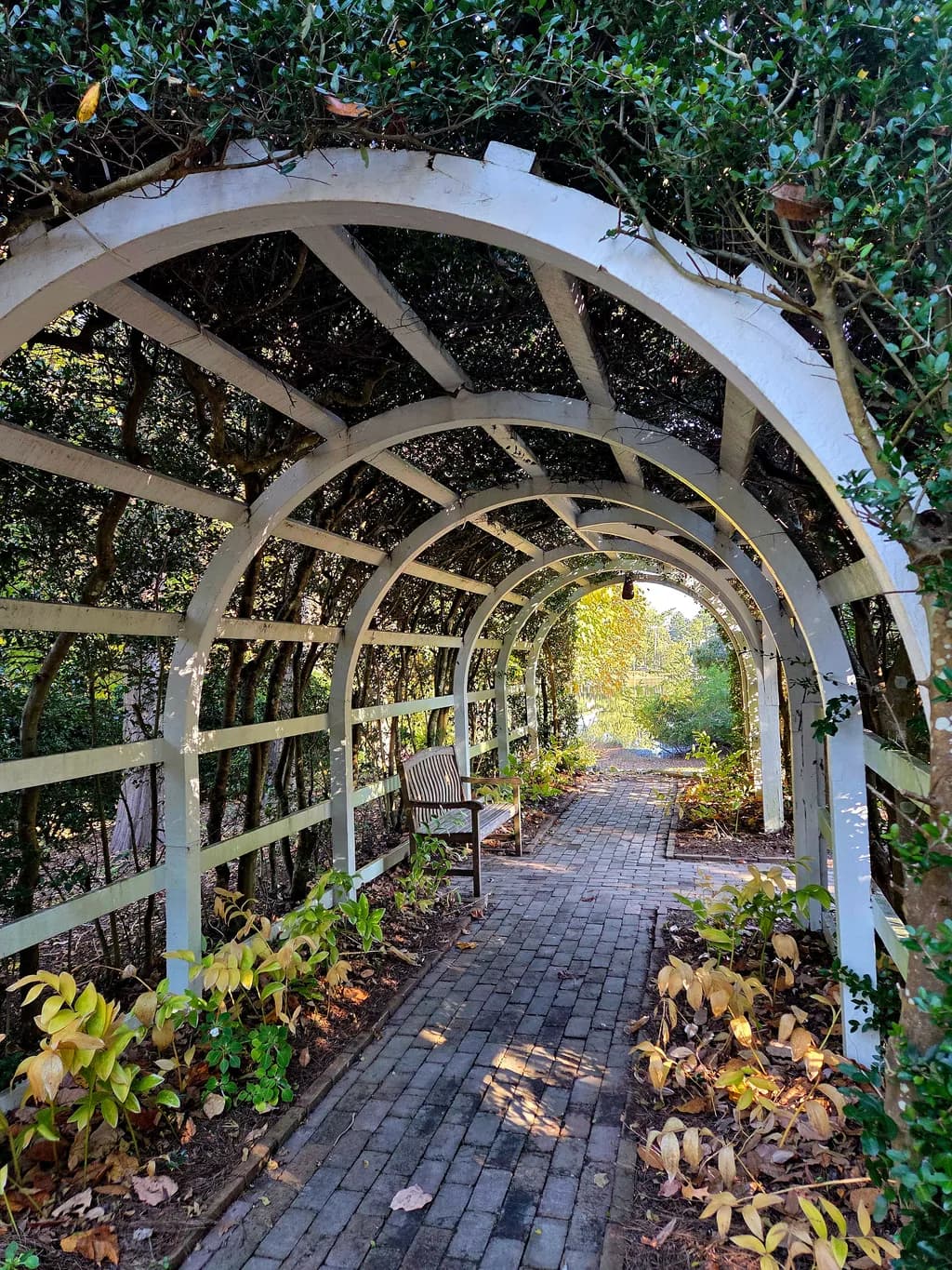 Garden Archway