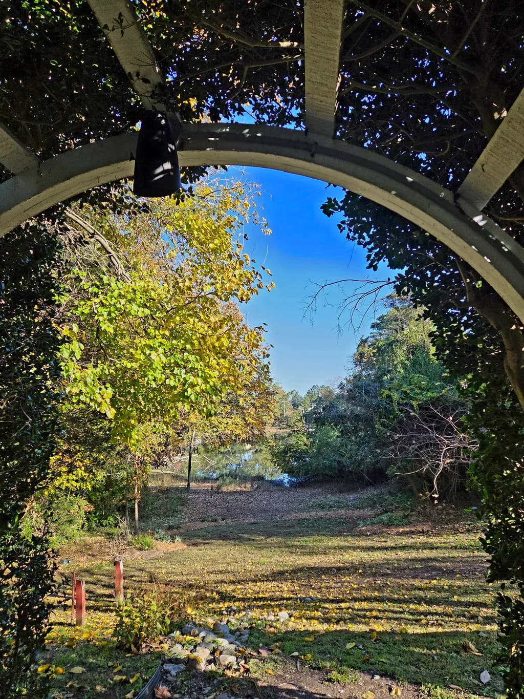 Framed Serenity