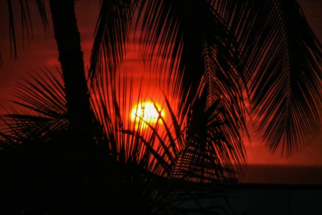 Hawaii Sunset