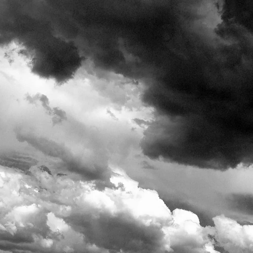 Whispers of the Storm