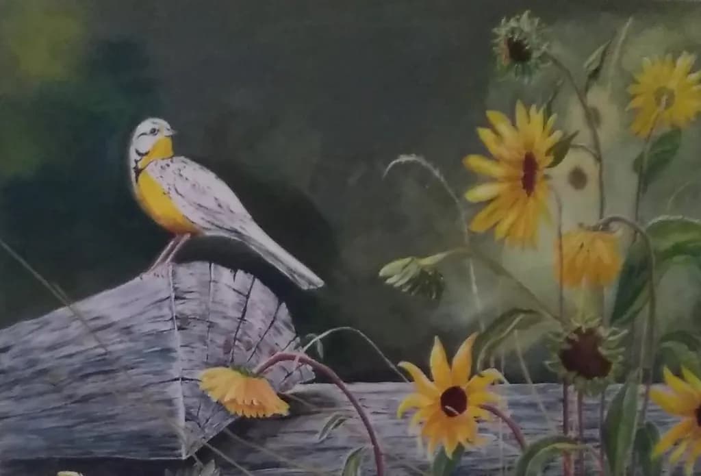  A Bird's Sunflowers Song 