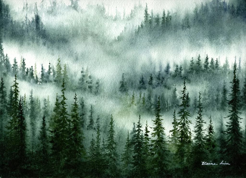 Misty Forest