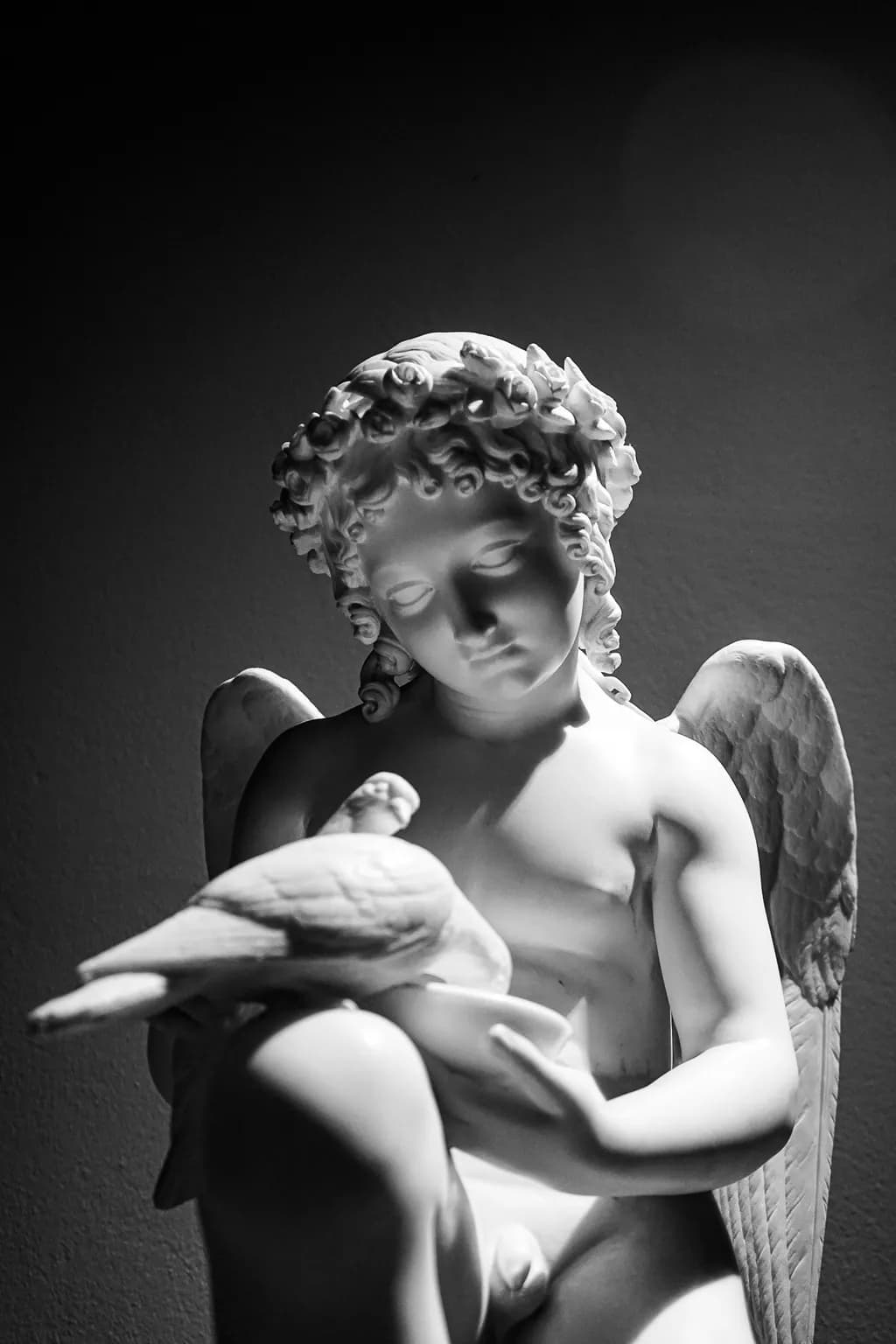 Whispers of Serenity: A Monochrome Angel Embracing Nature's Grace