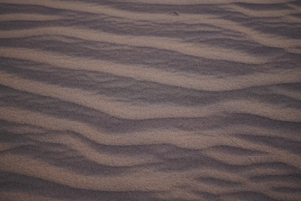 Whispers of the Desert: A Dance of Sand and Shadow