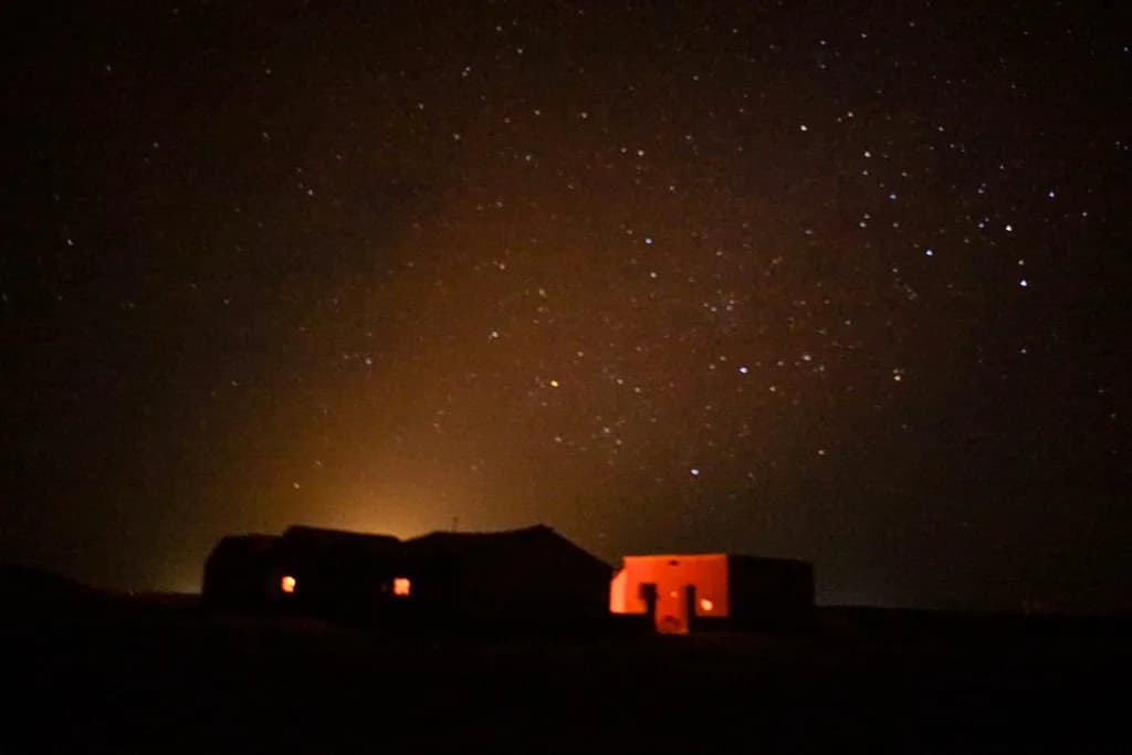 Whispers of the Night: A Serene Dance of Stars and Shadows
