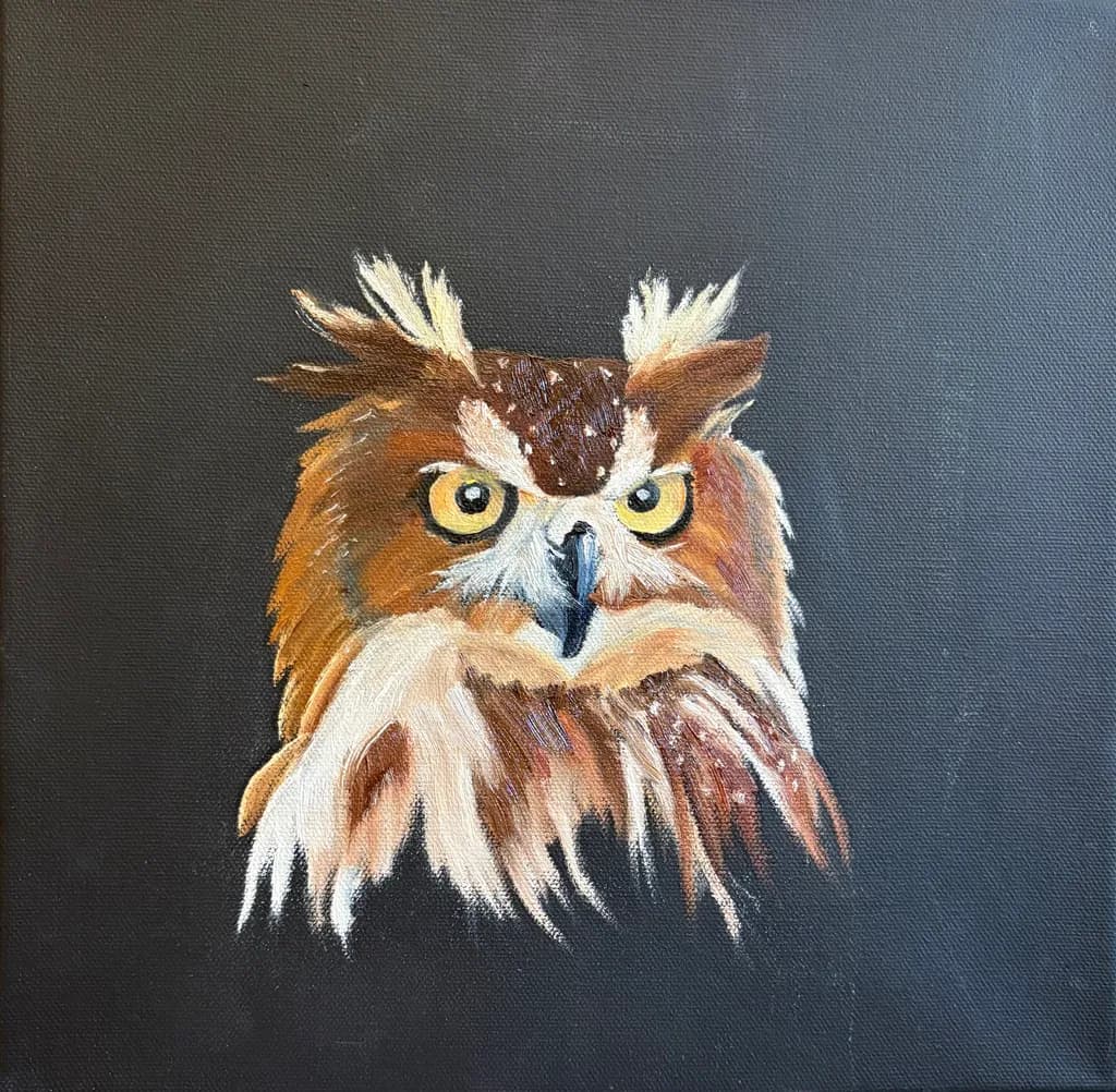 Gaze of the Owl
