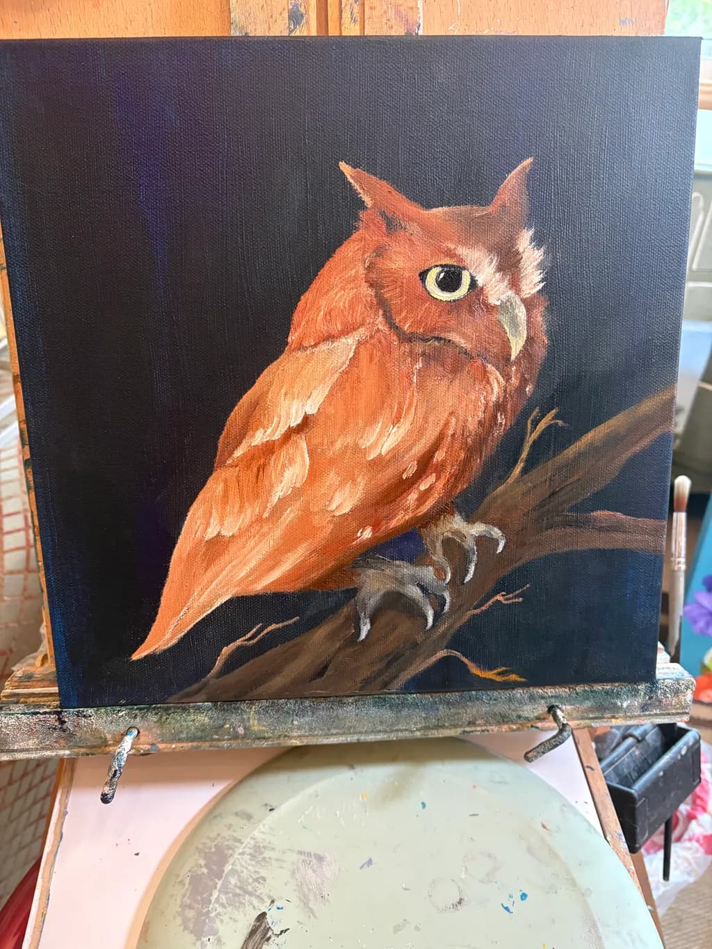 Reddish Vigilance