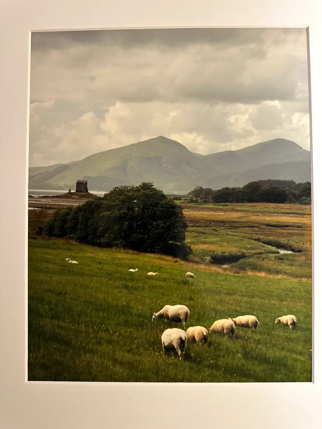 Pastoral Harmony