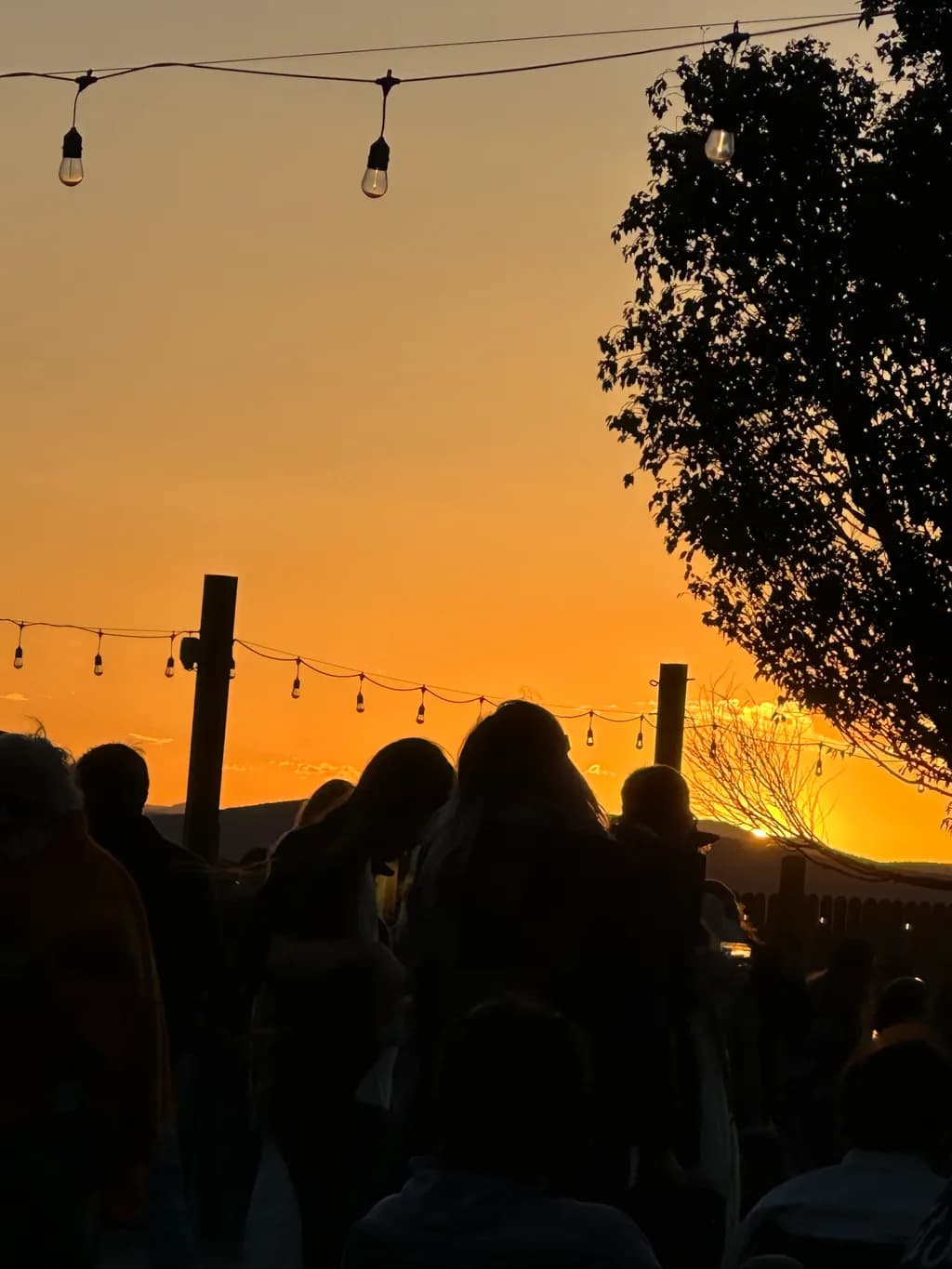 Evening Glow Gathering