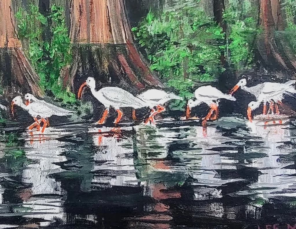 Ibis Reflections