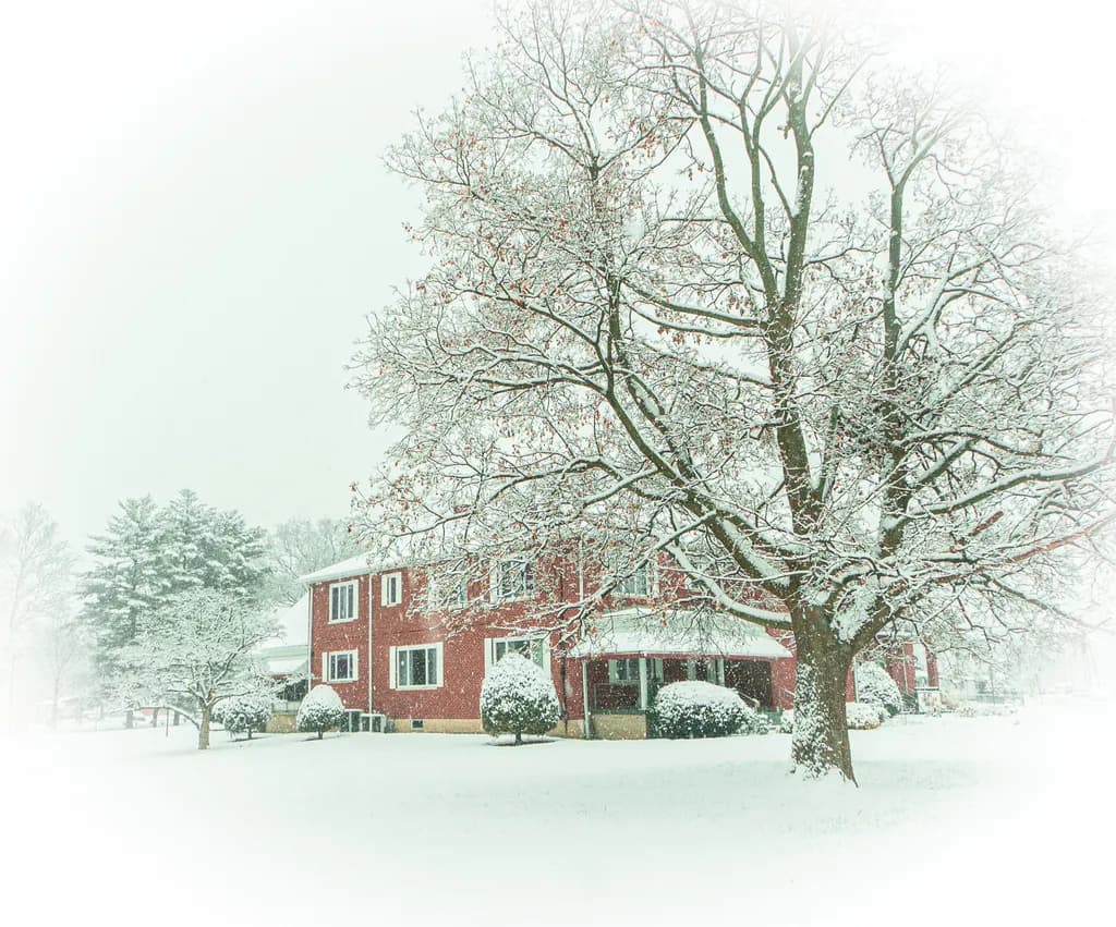 Winter Haven
