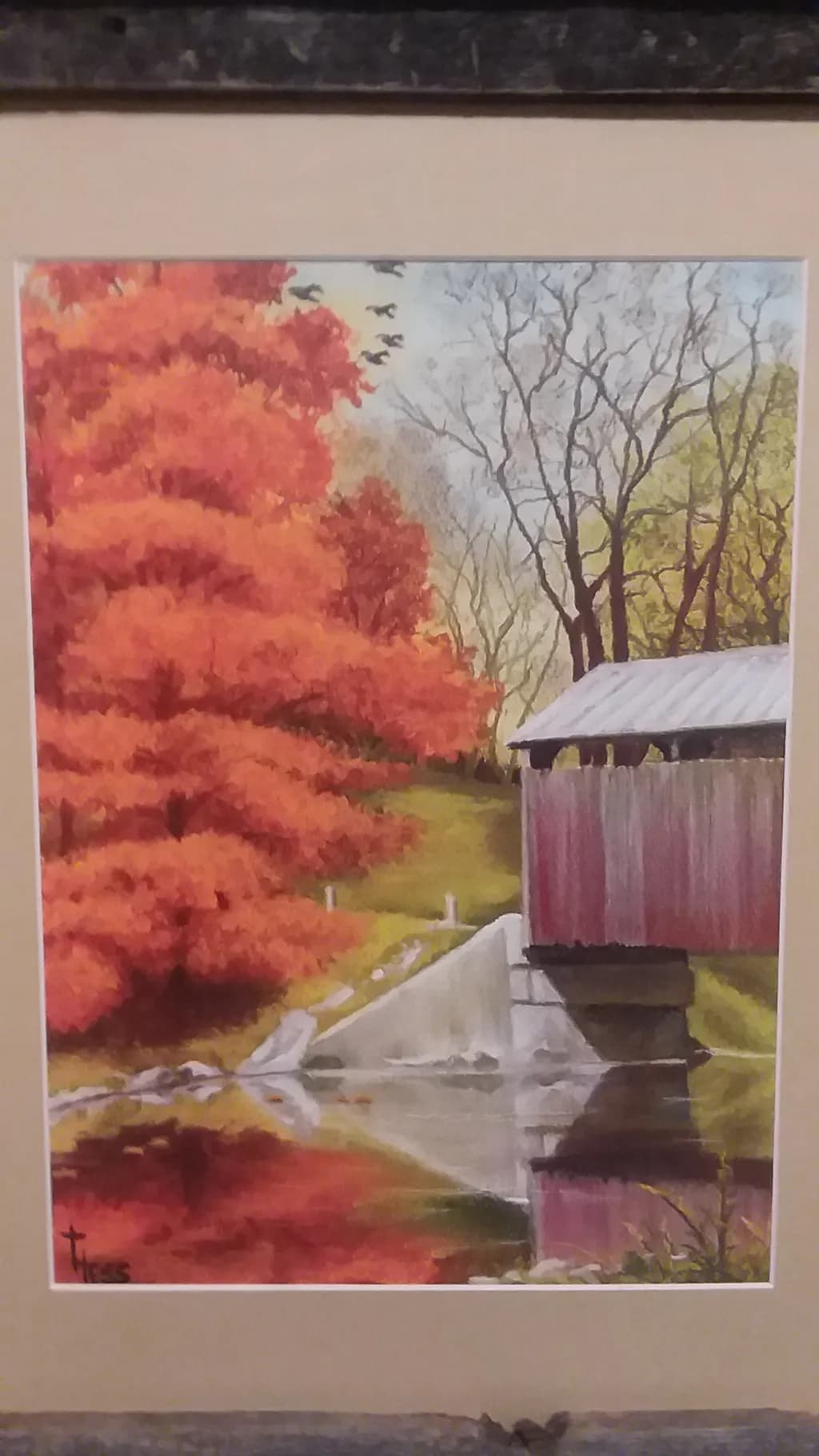 Autumn Reflection