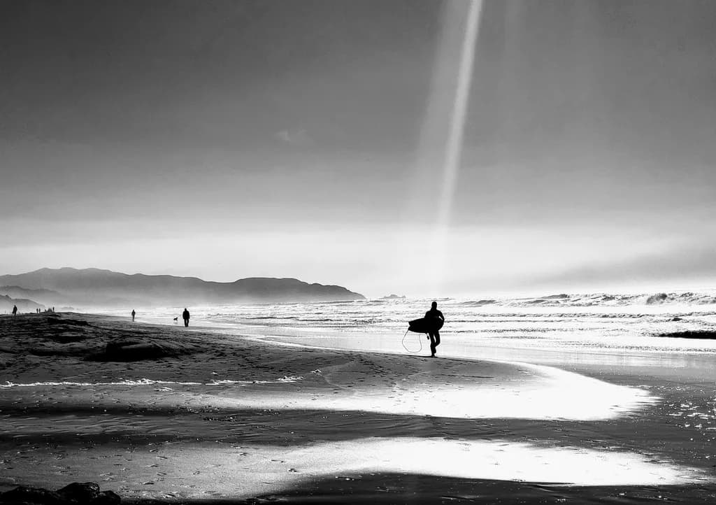 Fort Funston Silhouette