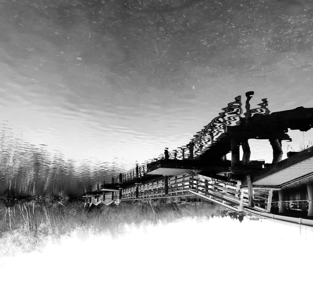 Marsh Island Reflection