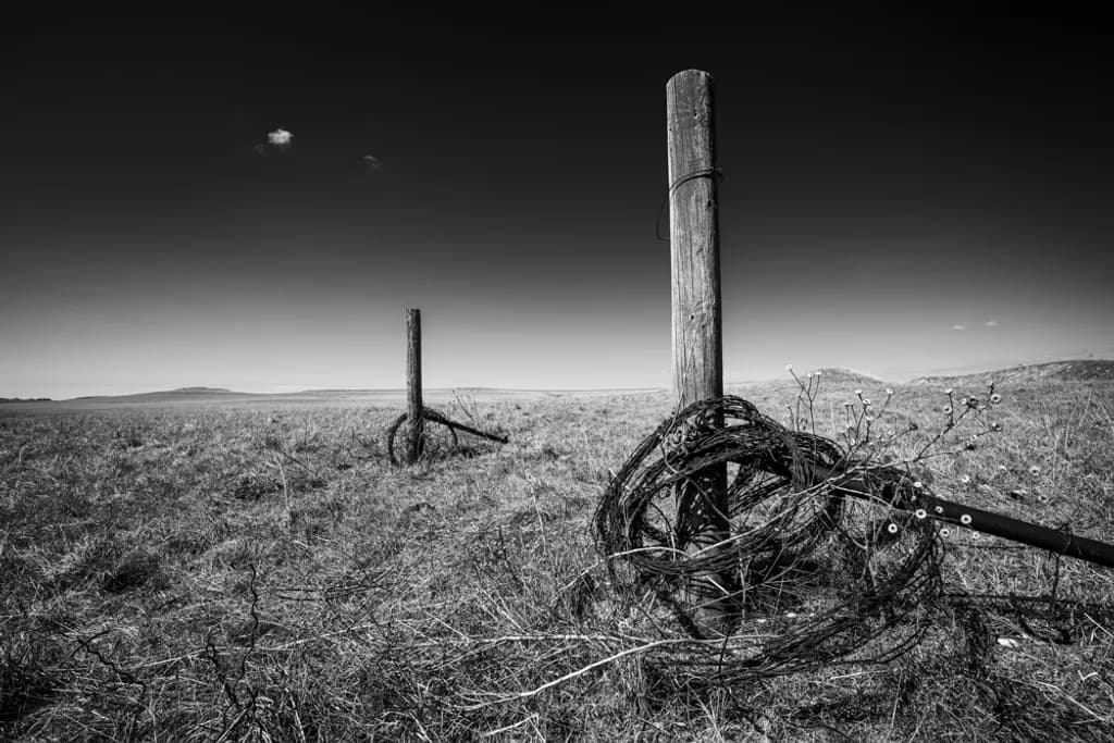 Prairie Fencepost