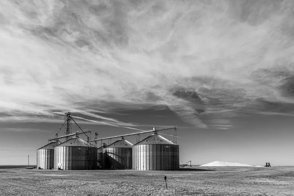 Monochrome Prairie Silos