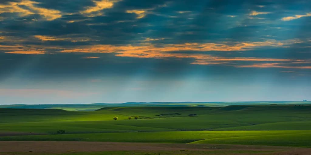 Prairie Spring