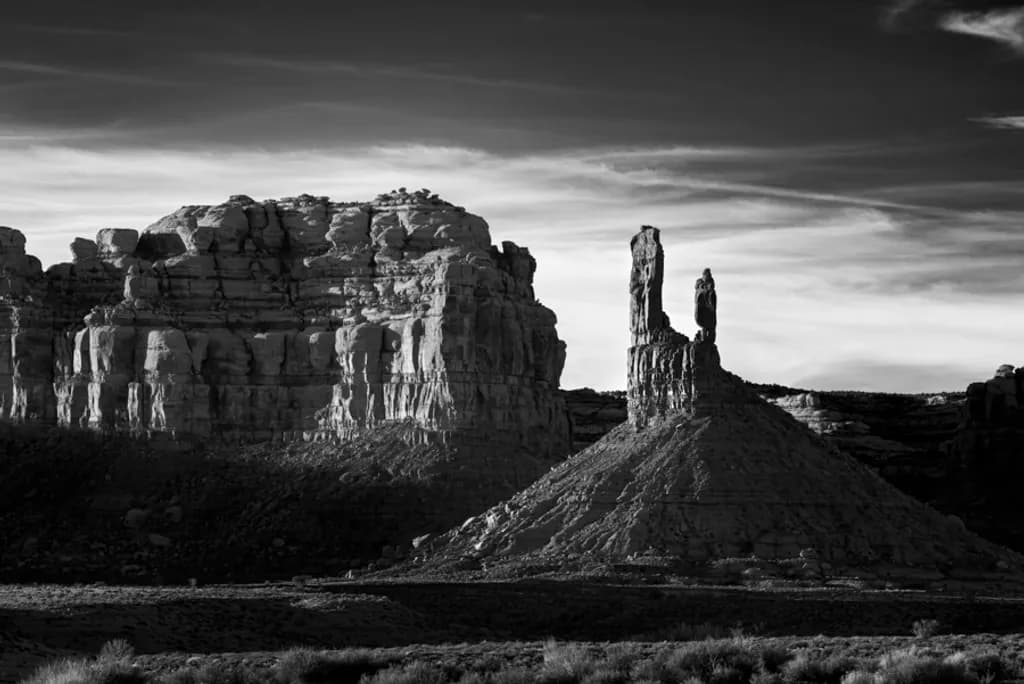 Desert Sentinels