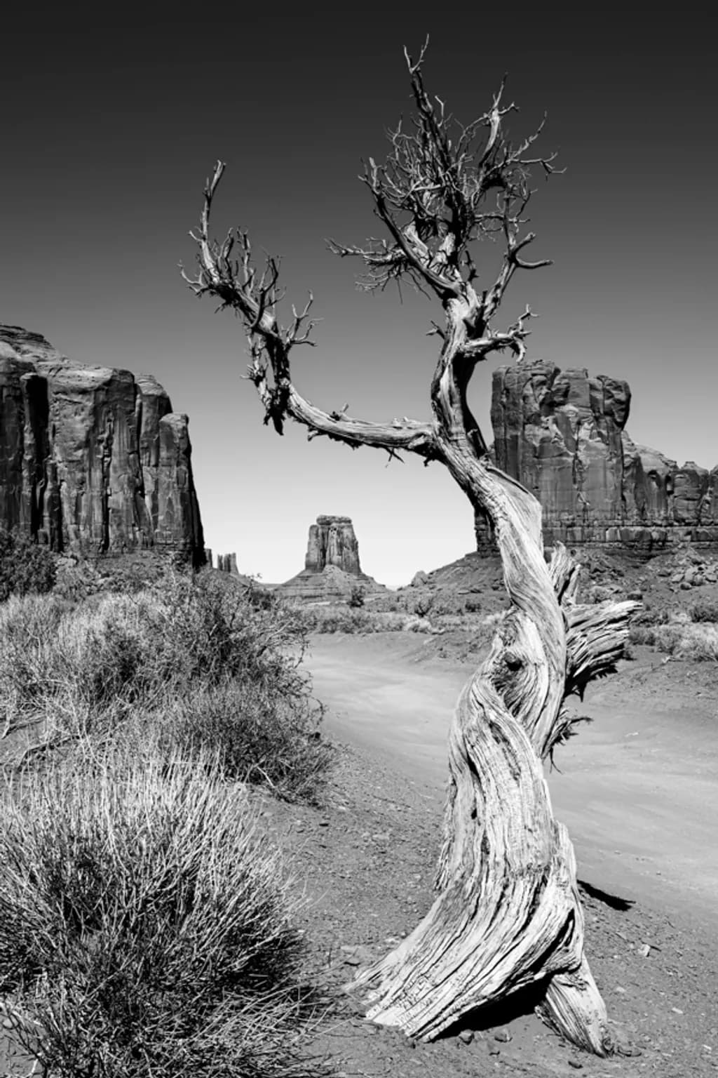 Twisted Sentinel